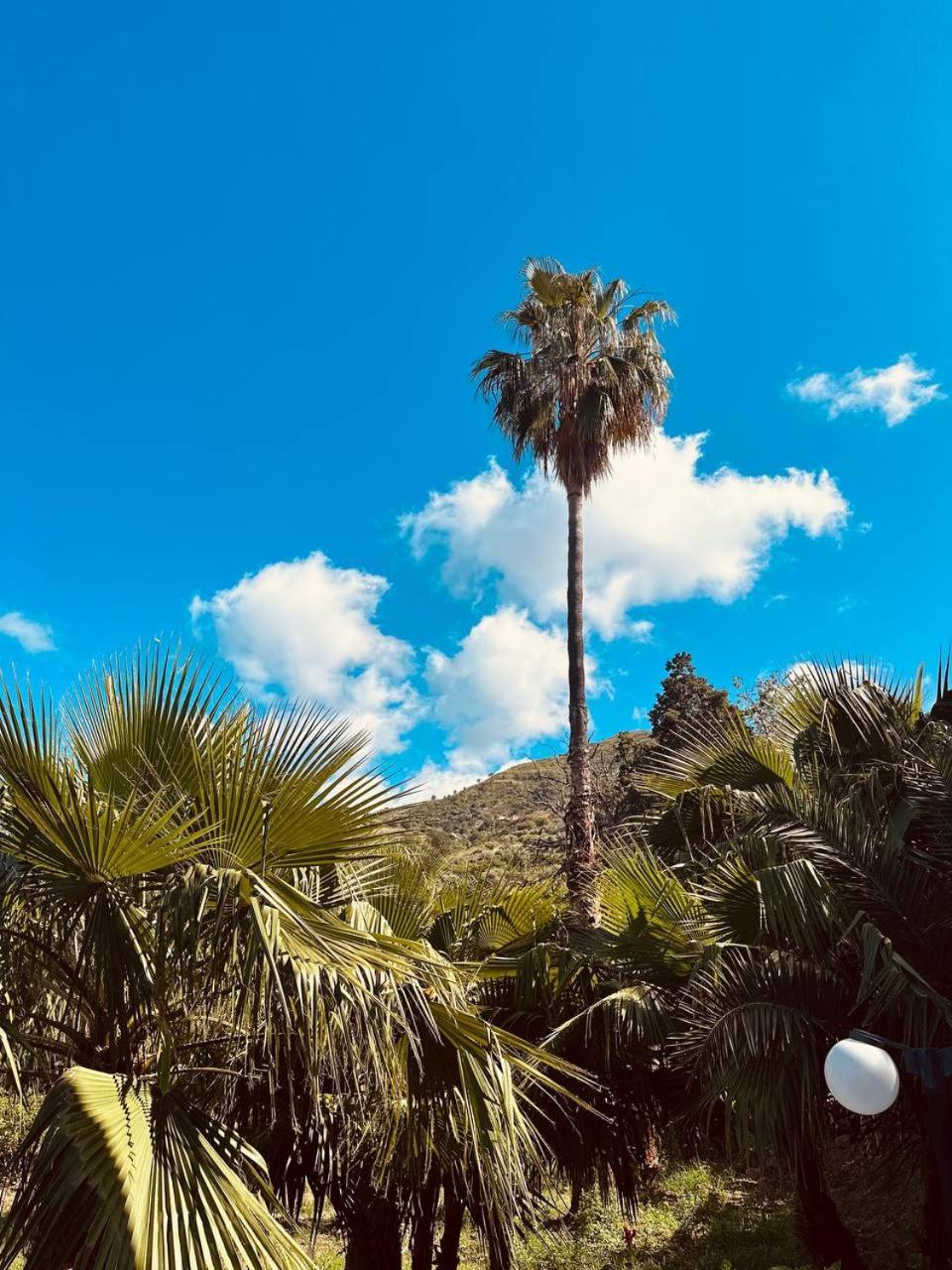 Villa Tiche Cefalu Bagian luar foto