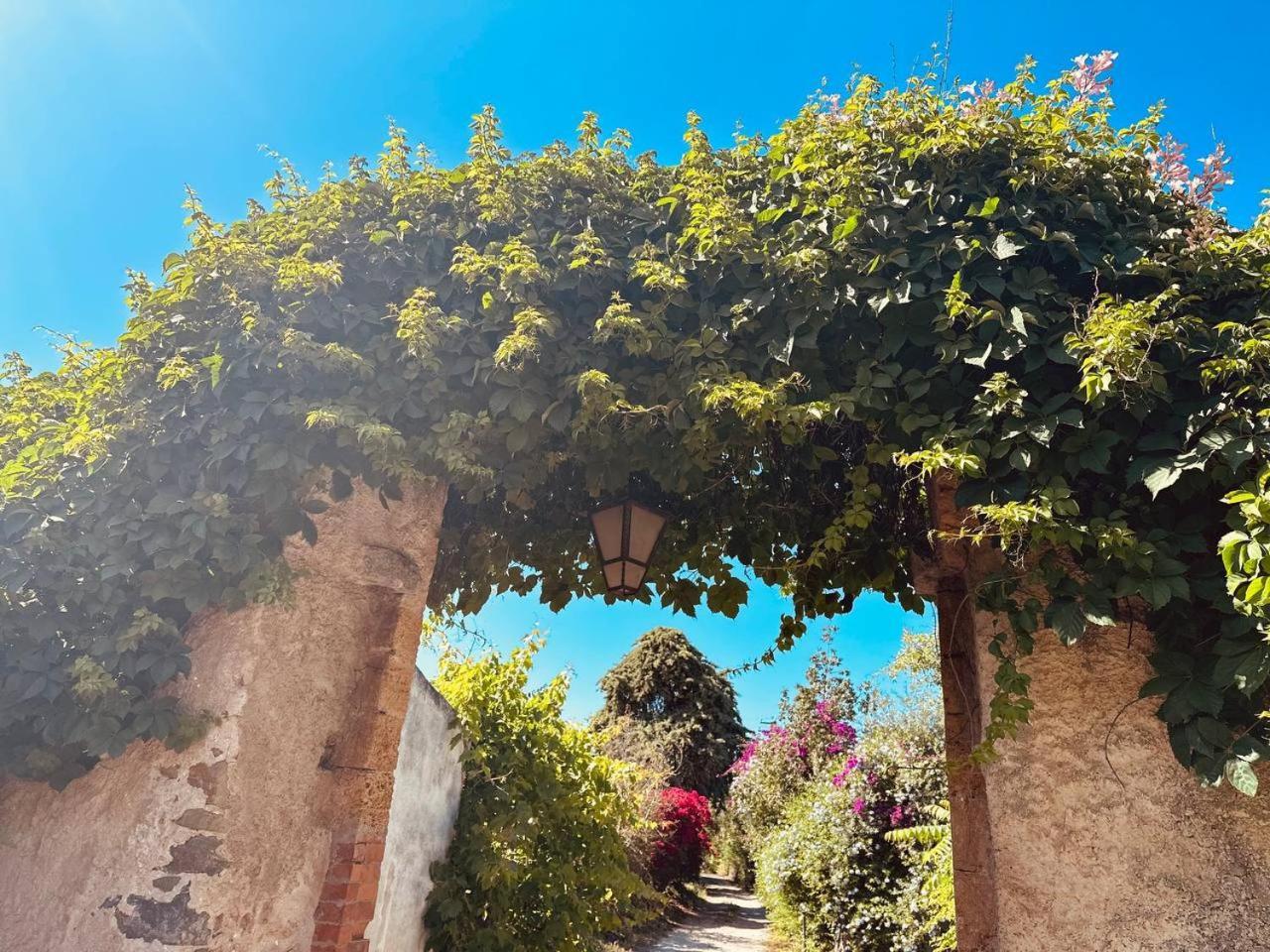 Villa Tiche Cefalu Bagian luar foto