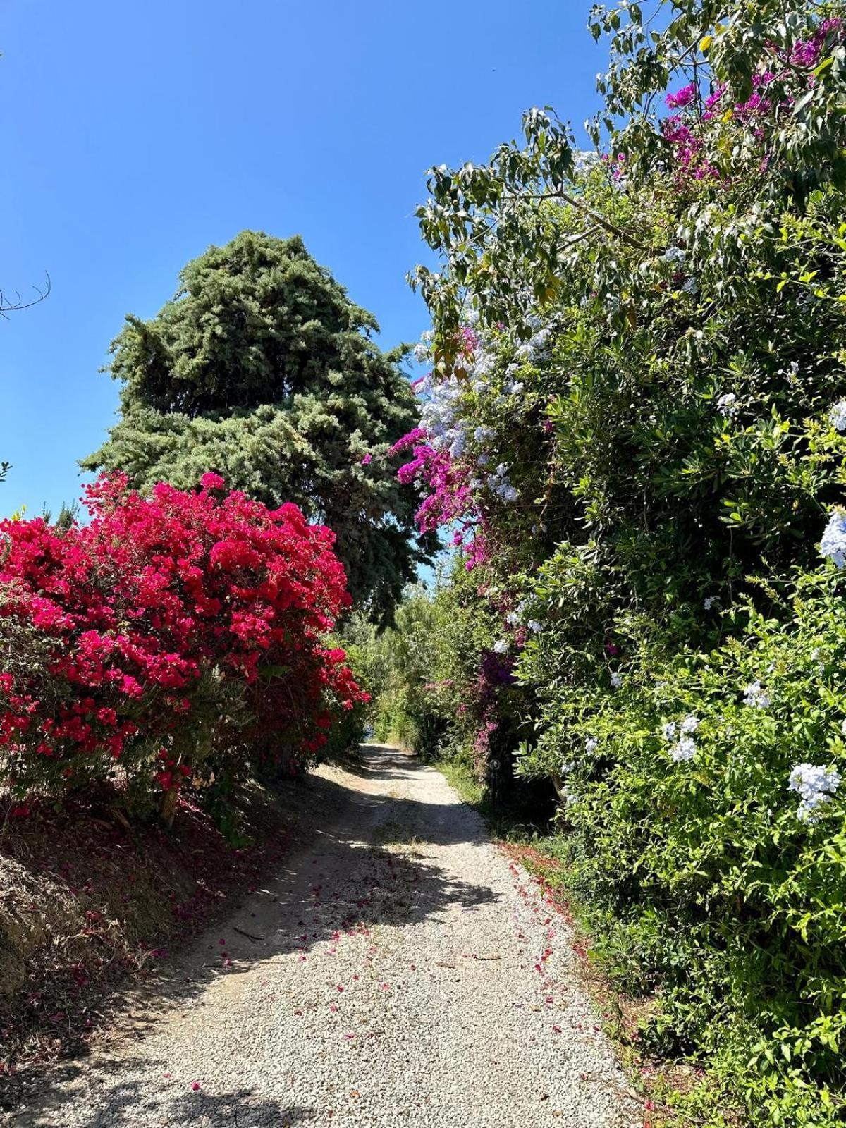 Villa Tiche Cefalu Bagian luar foto