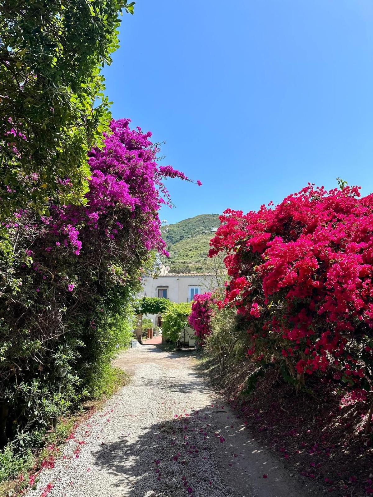 Villa Tiche Cefalu Bagian luar foto
