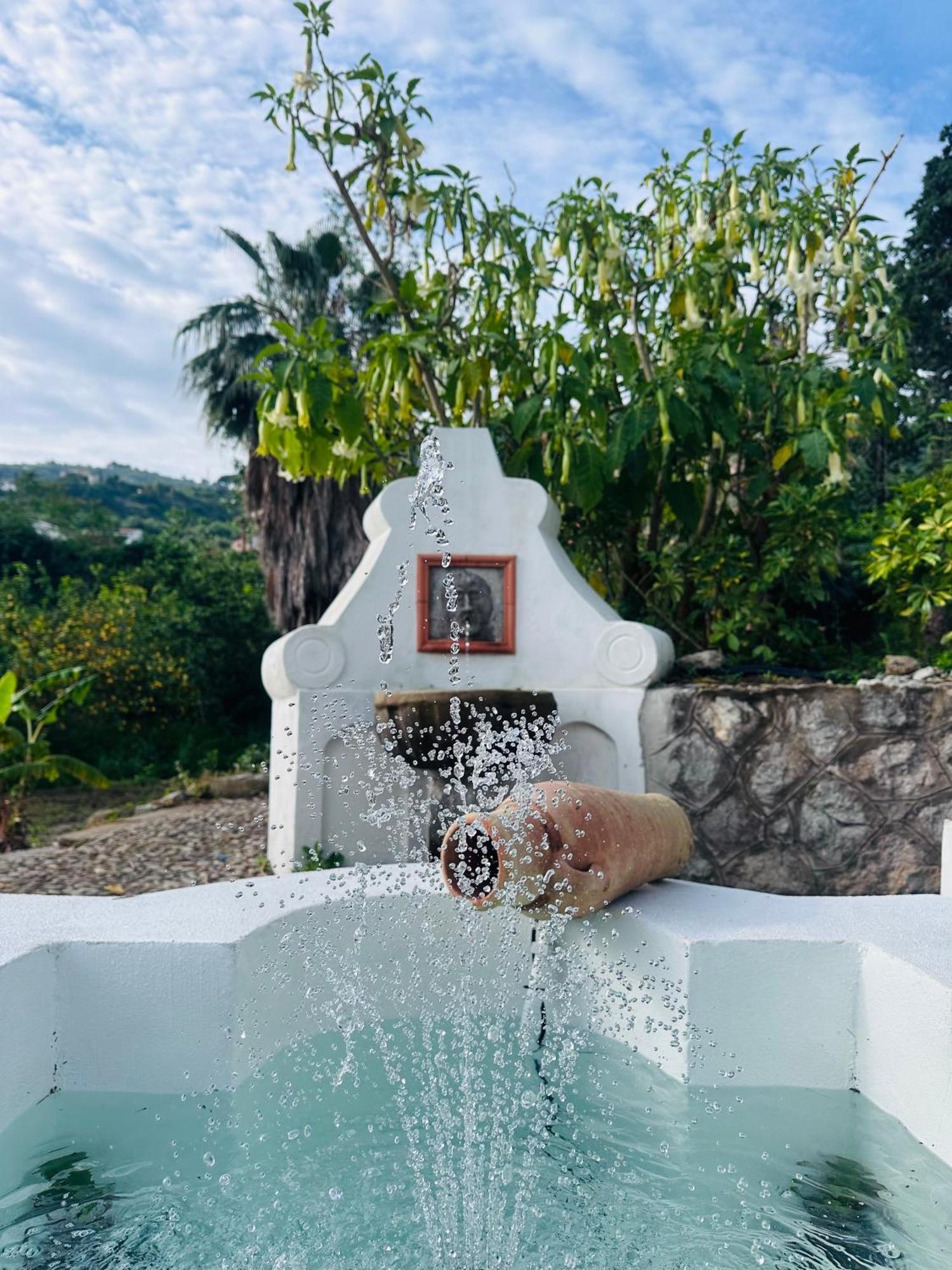 Villa Tiche Cefalu Bagian luar foto